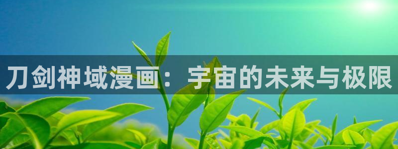 h韩漫免费在线：刀剑神域漫画：宇宙的未来与极限