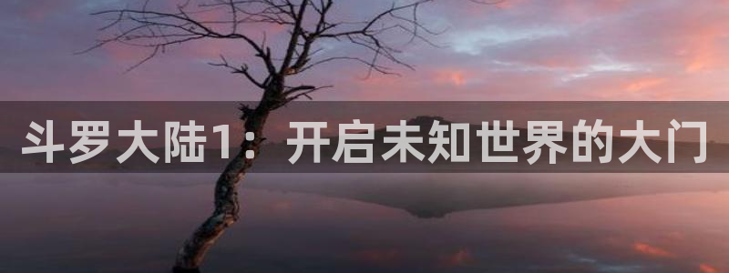 漫画男男韩漫：斗罗大陆1：开启未知世界的大门