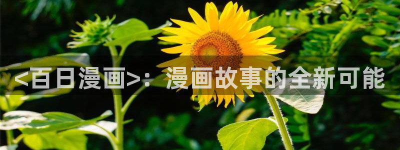 韩漫羞羞漫画破解版：<百日漫画>：漫画故事的全新可能