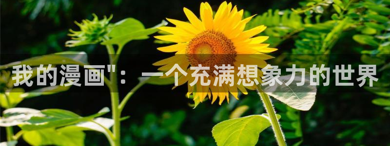 好看的韩漫在线阅读免费观看：我的漫画\