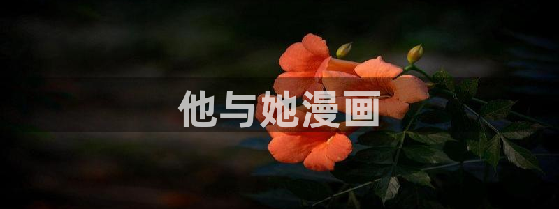 3d漫画韩漫漫官网免费阅读入口：他与她漫画