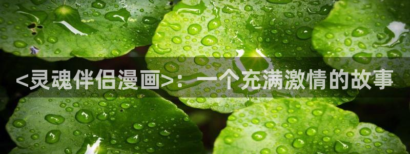 韩漫画无删减外网观看：<灵魂伴侣漫画>：一个充满激情的故事