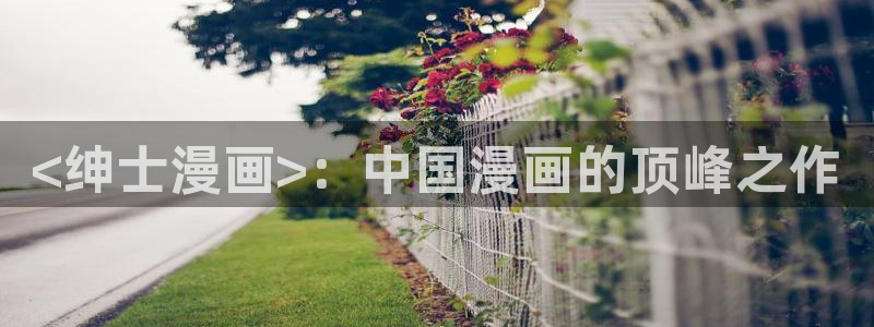 无遮羞韩漫画：<绅士漫画>：中国漫画的顶峰之作